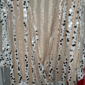 EUC! Sequin Sheer Top